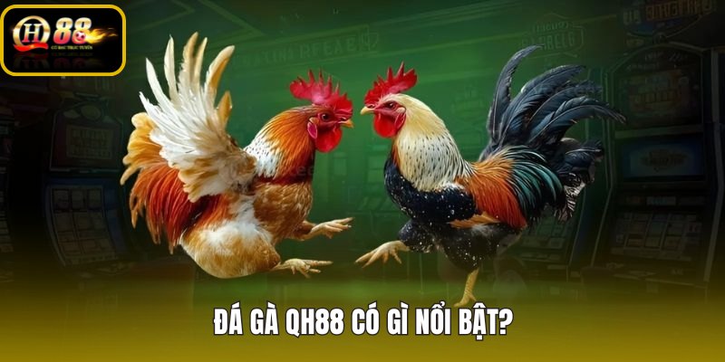 da-ga-qh88-co-gi-noi-bat da-ga-qh88-co-gi-noi-bat
