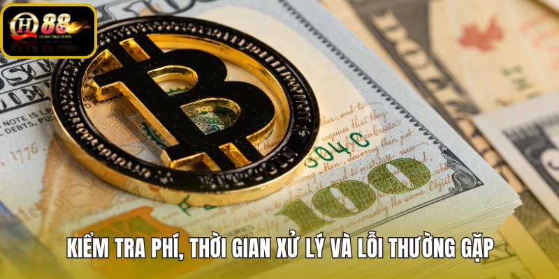 kiem-tra-phi-thoi-gian-xu-ly-va-loi-thuong-gap