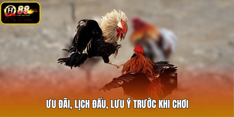 uu-dai-lich-dau-luu-y-truoc-khi-choi uu-dai-lich-dau-luu-y-truoc-khi-choi