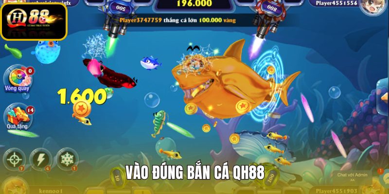 vao-dung-ban-ca-qh88